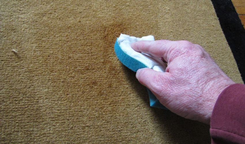 Eliminate Any Type Of Odor From The Carpet