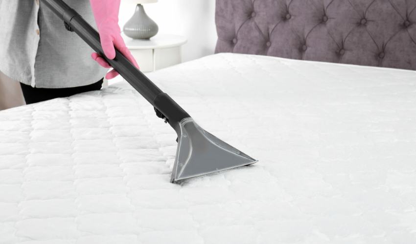 Importance Of Cleaning Your Sofa And Mattress